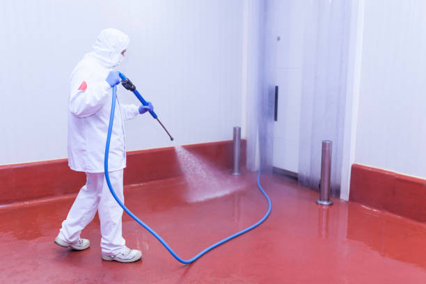 Best Paint Preparation  in Big Lake, TX